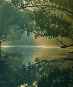 Tour Mạo hiểm: Thám hiểm Rừng ngập mặn Sundarbans