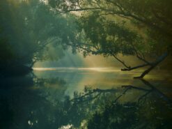 Tour Mạo hiểm: Thám hiểm Rừng ngập mặn Sundarbans